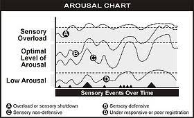 Sensory Processing Disorder The Consultant