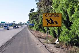 Xenophobia And The American Immigration Debate The Way We View Latino Immigrants Panoramas