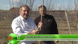 Ağaç dikmek için sebep mi lazım? Fidan Dikmek Isteyenlere Altin Oneriler Youtube