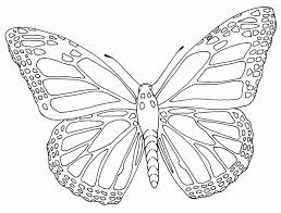 Best Butterfly Outline 1184 Clipartion Com Butterfly Outline Butterfly Drawing Outline Butterfly Coloring Page