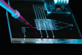 Max Planck Institute of Molecular Cell Biology and Genetics - News,  Articles etc. - European Pharmaceutical Review