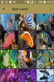 Stratigrafi dan topografi dasar laut. Ikan Bawah Laut For Android Apk Download