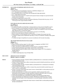 Finance Services Manager Resume Samples Velvet Jobs
