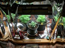 More images for best stealth grow cabinet » Building An Ultra Stealthy Grow Cabinet Grow Weed Easy
