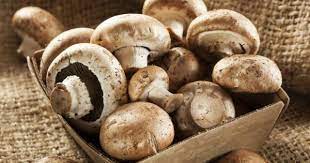 Kara merhem nedir, ne demek? Biliniz Mantarin Faydalari Nelerdir Mantar Nasil Saklanir Yemek Com