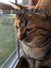 Test your knowledge on this religion quiz and compare your score to others. The Bible And Cats Revenge