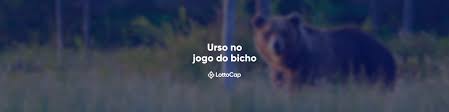 O manuel liga para seu amigo joaquim que esta em portugal. Qual O Numero Do Urso No Jogo Do Bicho Saiba Todas As Curiosidades