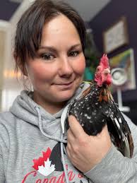 Introducing Mr. Barred, a charming feline companion