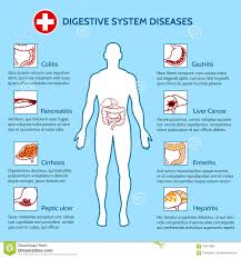 Human Digestive System Diseases Stock Vector Illustration