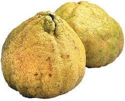 Fruit En U Voici Le Seul Fruit Debutant Avec Cette Lettre