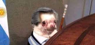 We did not find results for: Cristina Fernandez De Kirchner Volvio A Ser Presidenta Y Las Redes Estallaron En Memes