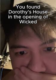 Who Did Dorothy House Land