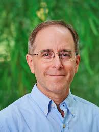 Information Technology Staff