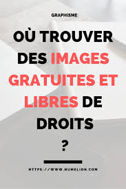 Trouver Des Images Gratuites Et Libres De Droits Images Gratuites Banque Image Gratuite Banque Image