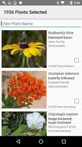 Use them as cut flowers. Indiana Wildflowers For Android Apk Download
