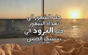 شعر عن البرود ليدي بيرد