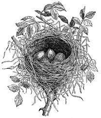 Black And White Printable Bird Pictures Birds Nests Karen S Whimsy Bird Printables Clip Art Vintage Vintage Birds