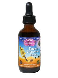 Image result for Cistanche