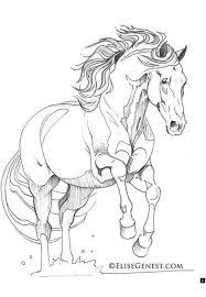 Enjoy a pasture of horse coloring pages you can color online with the interactive coloring machine or simply print to color at home. Read Information On Andalusian Horse Just Click On The Link To Find Out More The Web Presence Is Wo Horse Coloring Pages Horse Drawings Horse Coloring