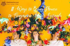 This kind of bouquet is highly preserved so the scent and its aesthetic will remain for a very long one of the best florists for dried flowers in singapore. 130 Florist Singapore Ideas Flowers For You Gerberas Gift Hampers