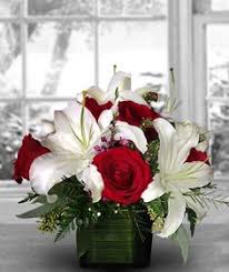 50 acres of extraordinary color at the carlsbad flower fields. Sunfresh Flowers Sunfreshflo0443 Profile Pinterest
