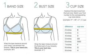 Victress Pk How To Measure Bra Size Ladies Undergarments