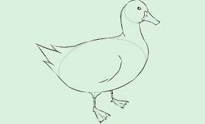 Gambar bebek termudah paling hist download now cara menggambar bebek. Sketsa Bebek Dan Cara Menggambarnya Mudah Banget