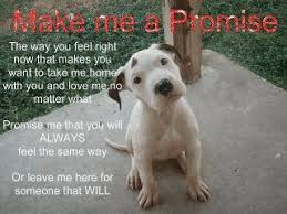 Please Remember This They Are Not Toys They Are Not Presents They Are Living Breathing Loving Animals That Belong To Dog Advice I Love Dogs Pet Photo Pillow