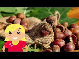 Les Fruits D 39 Automne Comptine Youtube Fruits D Automne Comptines Automne