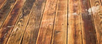 Floor sanding is a process through which the top surface of a wooden floor is sanded with abrasive materials. Hardwood Floor Repairs Palmetto Floor Sanding