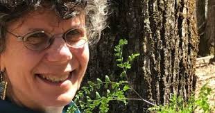 Resisting anxiety with nature, music and poetry