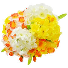 We did not find results for: Flowers Bushes Greenery Dollartree Com
