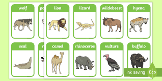 There are supporting materials for languages other than english and teaching suggestions for. Animal Flashcards Teacher Made
