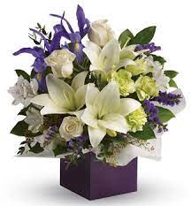 We have many leading specialists in gynaecology, oncology, breast, plastic reconstructive and cosmetic surgery. Frances Perry House Florist Online Flowers Delivered Frances Perry House