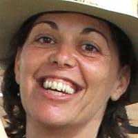 Big Breasts & Wide Hips by Mo Yan