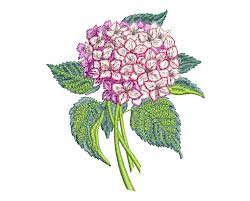 Flower Embroidery Design Hydrangea Machine Embroidery Etsy In 2021 Machine Embroidery Machine Embroidery Designs Flower Embroidery Designs