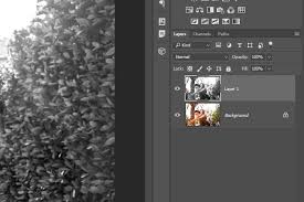 Check spelling or type a new query. 3 Methods For Removing Color From A Single Layer In Adobe Photoshop