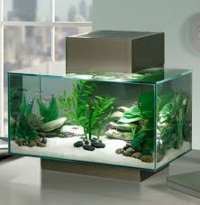 Décoration intérieur aquarium poisson avec corail déco h 18,5 cm étoile de mer. Aquarium Design Original Aquarium Furniture Ideas A Spicy Boy