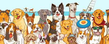 A hilarious look at the differences between a dog's day and a cat's day in captivity if they both kept a diary. Cat And Dog Politics Neither Side Winning Or Needing To Maybe We Could Learn Something Here Dog Diary