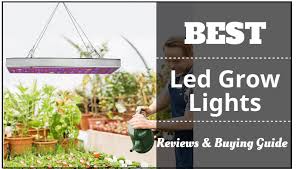Check spelling or type a new query. The 10 Best Led Grow Lights 2021 Reviews Ultimate Buying Guide