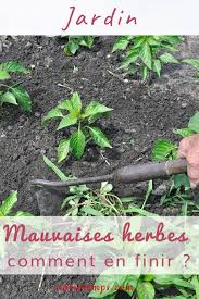Mauvaises Herbes Ronces Nos Astuces Pour Les Eliminer Definitivement Jardinage Mauvaises Herbes Herbe Jardinage