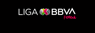 Pagesbusinessessports & recreationsports leagueliga bbva mx. Liga Mx Pagina Oficial De La Liga Mexicana Del Futbol Profesional 32199 Www Ligabbva Mx