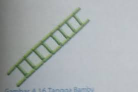 Karena itu tangga kayu lebih berat daripada tangga bambu. Plese Jawabayah Meli Akan Membuat Tangga Dari Bambu Seperti Pada Gambar Di Atas Jika Tiap Ruas Brainly Co Id