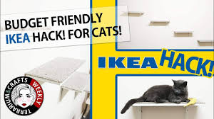 The trixie wall mounted cat shelf is a beautiful and plush product your cat will enjoy. Ikea Hacks Cat Shelves Cat Wall Shelves On A Budget Diy Cat Shelves Cat Wall Perch Youtube
