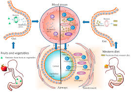 Nutrients Free Full Text Diet And Asthma Is It Time To