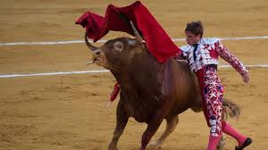 Maybe you would like to learn more about one of these? Cek Fakta Atau Mitos Banteng Benci Warna Merah Cek Fakta Liputan6 Com