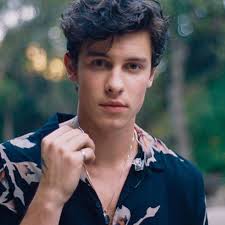 Shoot Your Shot |Part 10| (Hockey/Fratboy!Shawn Au)