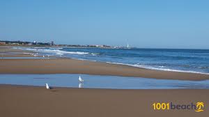 Selbst die sonnenverwöhnten brasilianer kommen zu zehntausenden jedes jahr im sommer an die küsten von. Strande In Uruguay