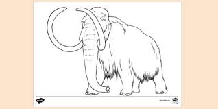 Each color scheme contains the html color codes you will need when coding your website template. Free Woolly Mammoth Colouring Colouring Sheets