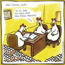 100 Chicken Jokes Humor Ideas In 2020 Chicken Jokes Funny Humor The best memes from instagram, facebook, vine, and twitter about funny chicken memes. chicken jokes funny